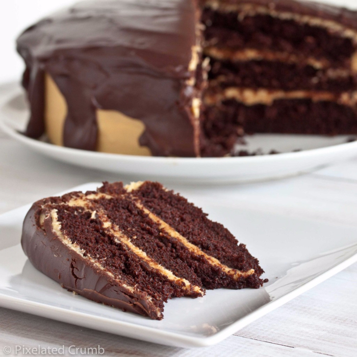 ultimate_chocolate_peanut_butter_cake-4-1024x1024 (700x700, 407Kb)