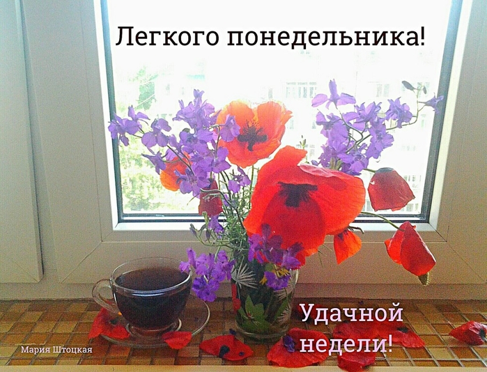 цепкий автофокус, открытки с добрым утром в понедельник и хорошей погоды появилось средство
