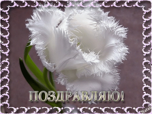 80970cd0efec67a06d278f2501826b89 (500x375, 807Kb)