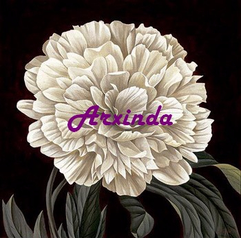 Full bloom 1 (350x346, 164Kb)