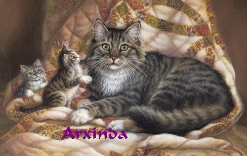 gatitos (500x317, 164Kb)