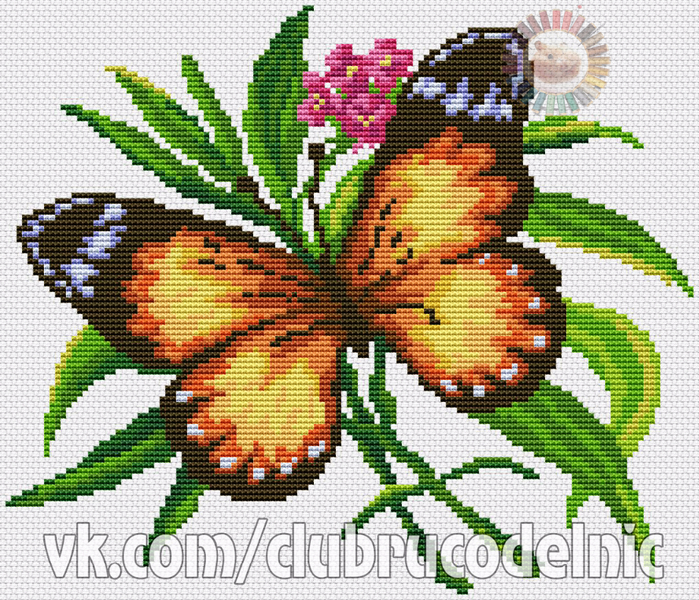 Butterfly (700x600, 686Kb)