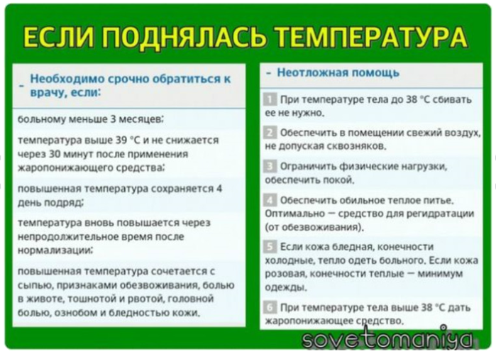 Что делать если температура. Что делать если поднялась температура. Что делать если повысилась температура. Чир делать если температура.