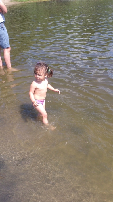 4514057_20160703_121341 (393x700, 215Kb)