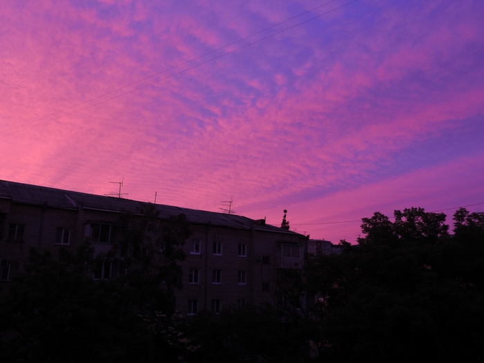 5559494_DSCN5944 (700x525, 179Kb)