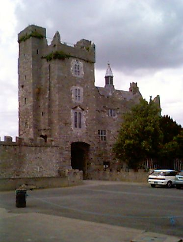 Drimnagh_Castle2 (373x493, 135Kb)