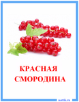  kartochki_frukti_ovoschi_smorodina_krasnaya (500x643, 236Kb)