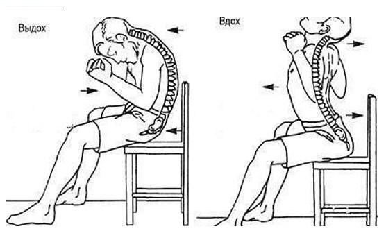 5839806_image_23 (556x333, 39Kb)