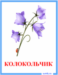  kartocki_kolokolchik (497x639, 152Kb)