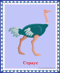  страус (578x700, 256Kb)