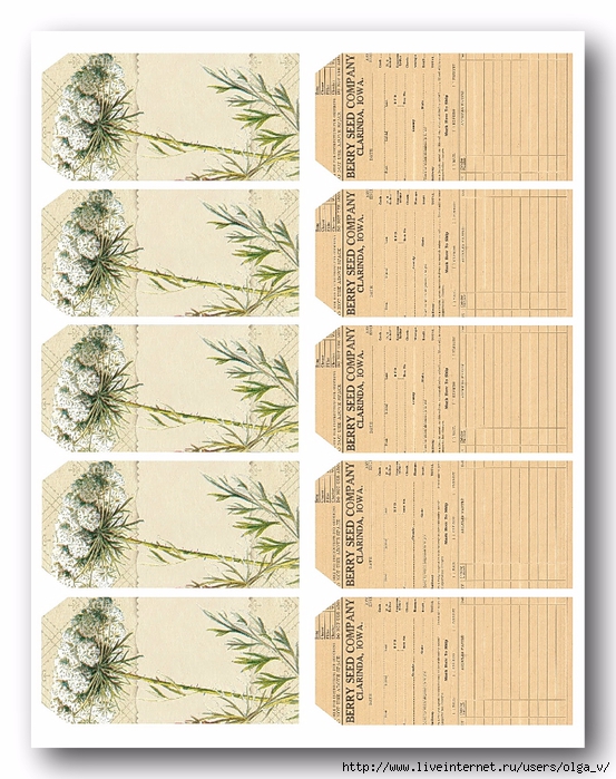 Tags - Queen Annes lace 10 - lilac-n-lavender (553x700, 333Kb)