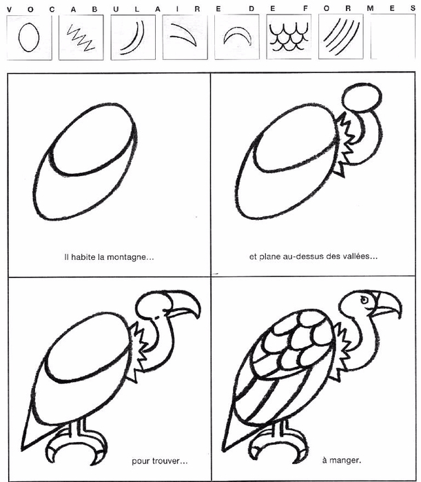 legendre_philippe_j_apprends_a_dessiner_les_oiseaux_du_monde_9 (611x700, 199Kb)