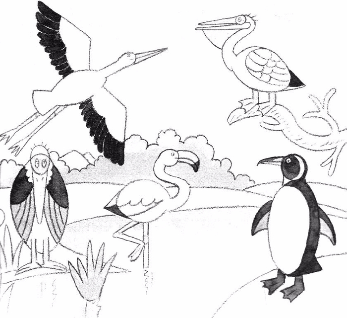 legendre_philippe_j_apprends_a_dessiner_les_oiseaux_du_monde_24 (700x640, 247Kb)