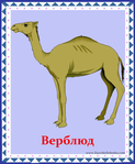  верблюд (578x700, 284Kb)