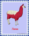  лама (578x700, 285Kb)