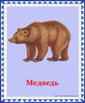  медведь (578x700, 351Kb)