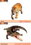  Тигр+крокодил (489x700, 231Kb)