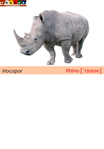  носорог+свинья (489x700, 116Kb)