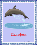  дельфин (578x700, 291Kb)