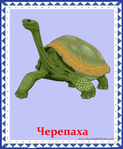  черепаха (578x700, 316Kb)