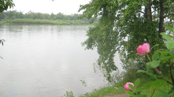 IMG_7865 (700x392, 359Kb)