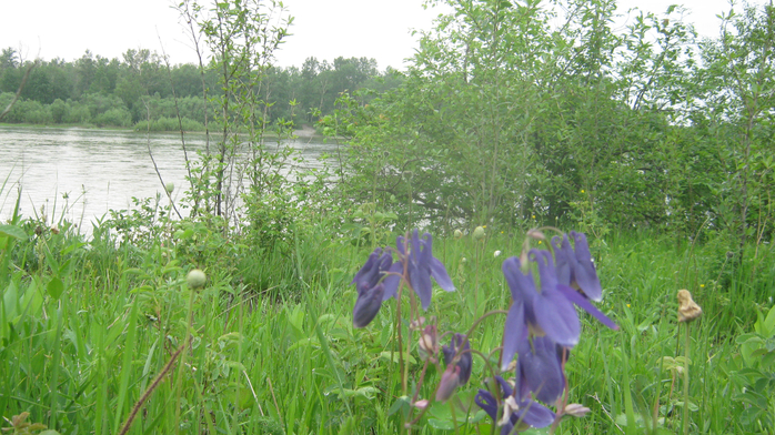 IMG_7869 (700x392, 456Kb)