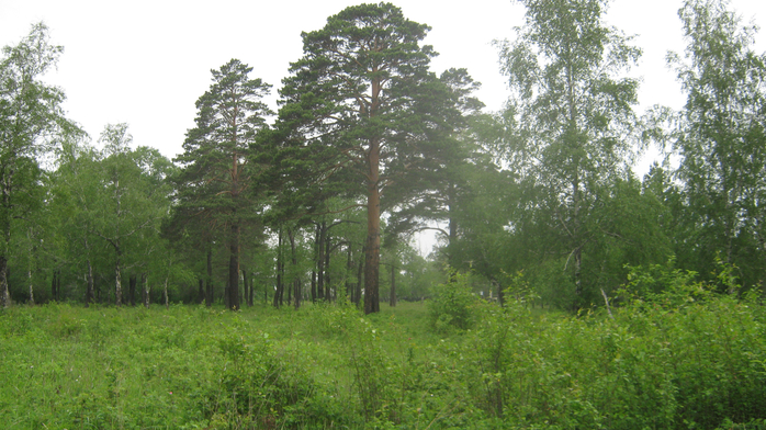 IMG_7875 (700x392, 412Kb)