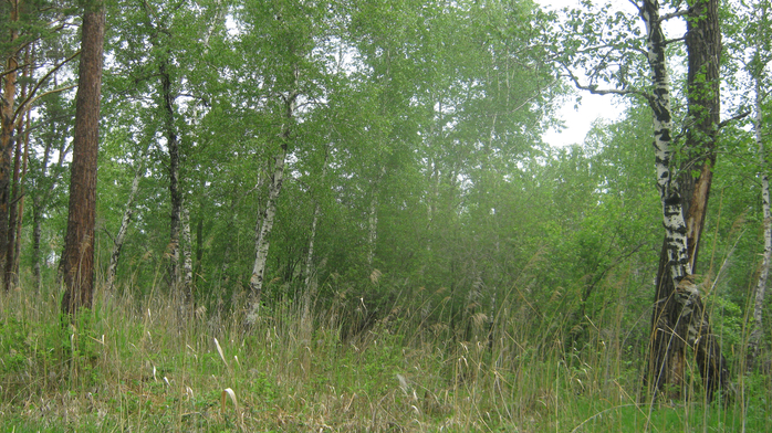 IMG_7891 (700x392, 497Kb)
