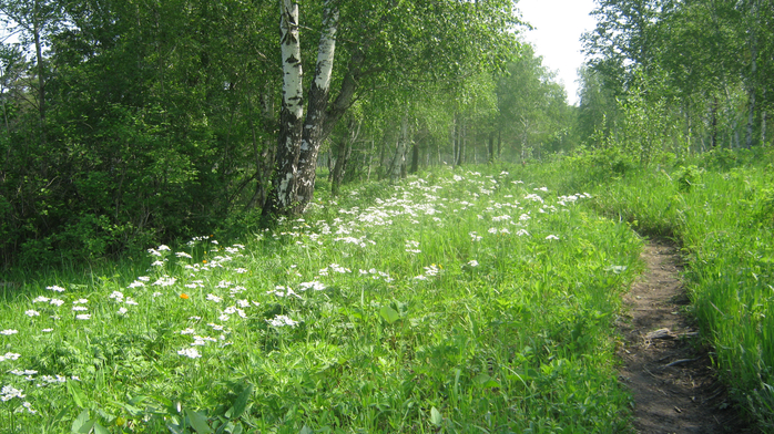 IMG_7936 (700x392, 500Kb)