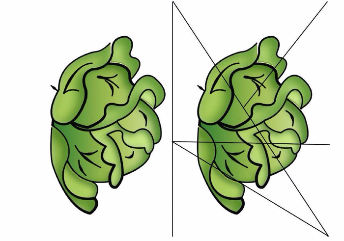 Разрезные картинки овощи