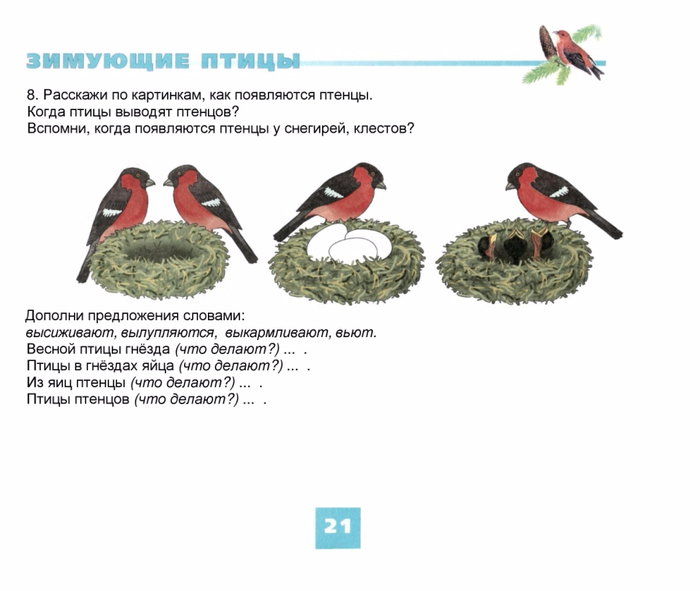 Проект изучаем голоса птиц