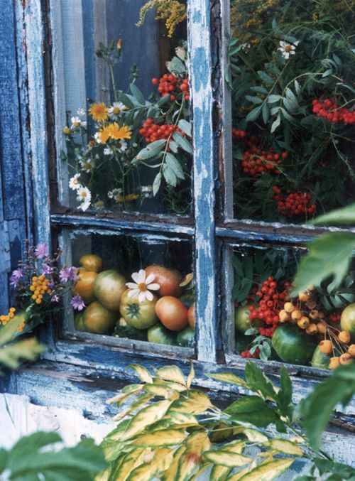 3le1r78EovA (500x677, 81Kb)