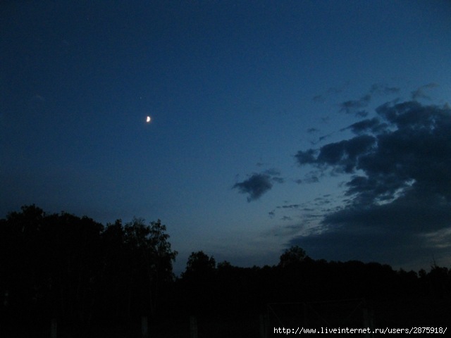 IMG_0582 (640x480, 102Kb)