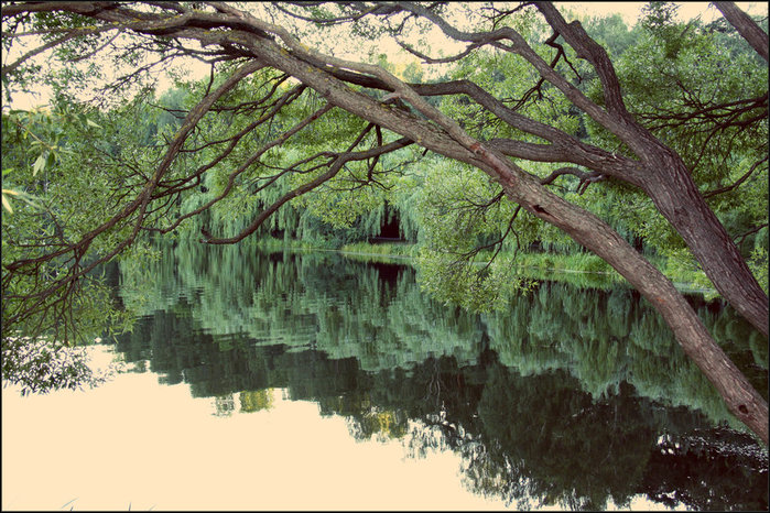 IMG_9895 (700x466, 145Kb)