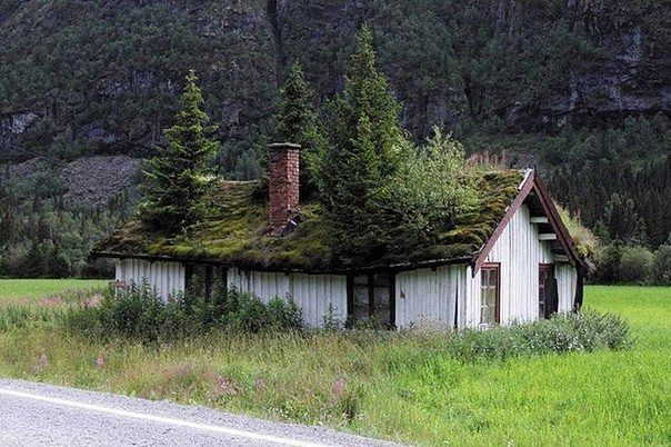 5875002_norvegiya_krishi8 (604x402, 78Kb)