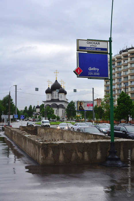 DSC_7215 копия (466x700, 353Kb)