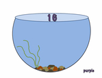  Fishy Math Facts_16 (700x540, 97Kb)
