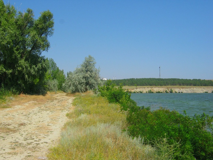 Село антиповка камышинский район волгоградская область фото