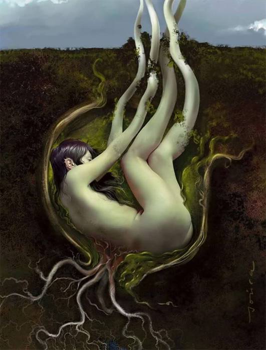 image (531x700, 45Kb)