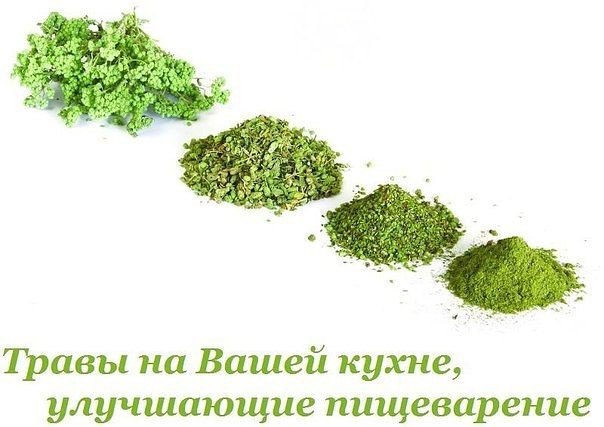 3256587_Travi_na_Vashei_kyhne_ylychshaushie_pishevarenie (604x427, 46Kb)