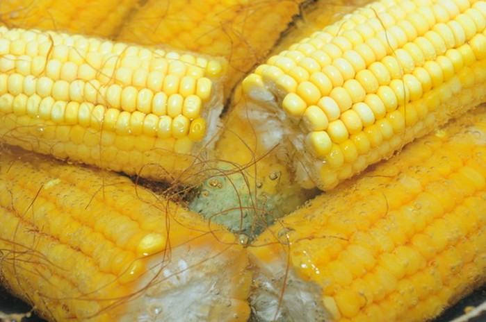 Image result for corn kernels