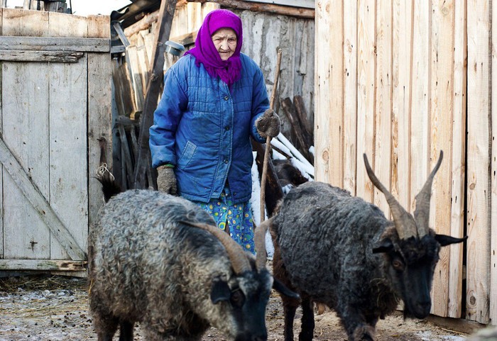 Купить Скотину В Городе Урюпинске На Авито