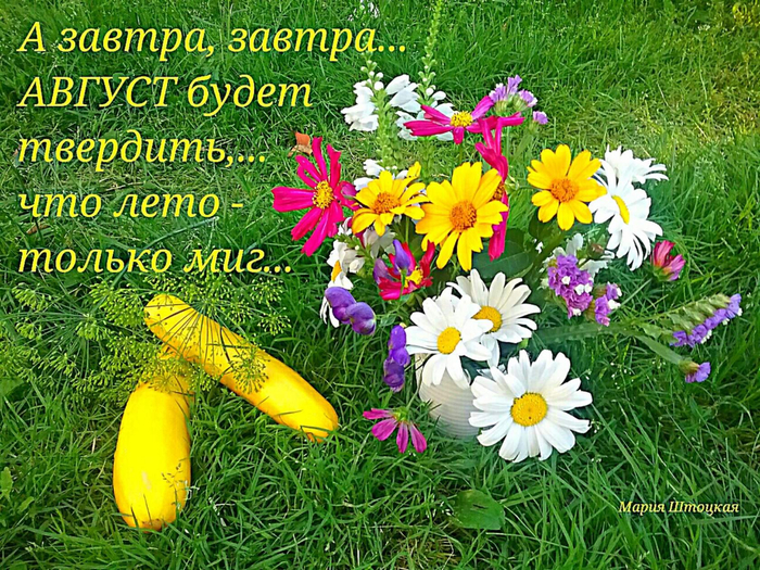 image (1) АВГУСТ (700x525, 662Kb)