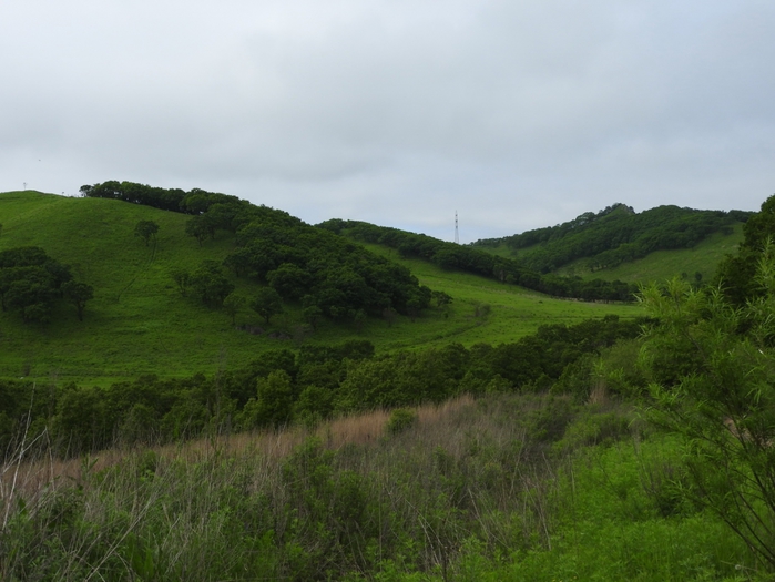 5559494_DSCN4780 (700x525, 238Kb)