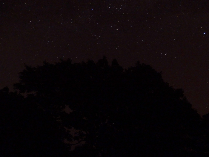 5559494_DSC04337 (700x525, 159Kb)