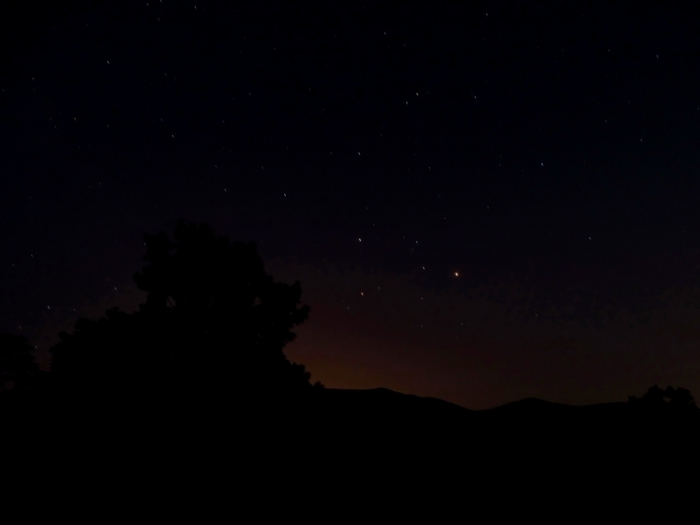 5559494_DSC04318 (700x525, 68Kb)