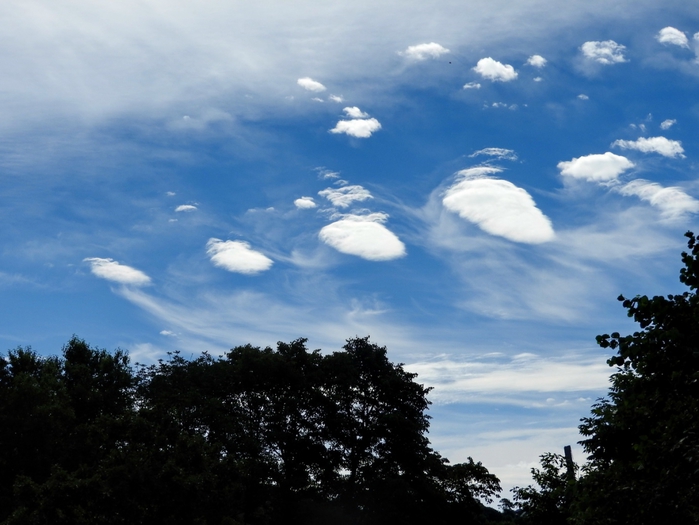 5559494_DSCN6877 (700x525, 229Kb)