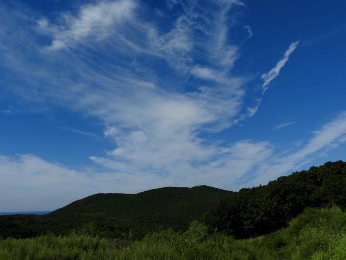 5559494_DSCN6902 (700x525, 213Kb)