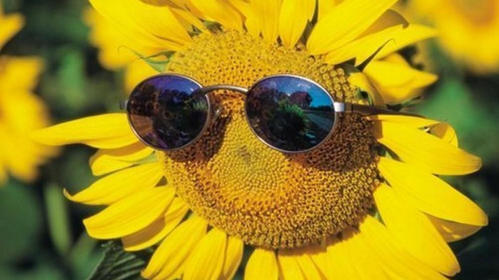 3571750_hello_sunshine12021771024x576 (700x393, 66Kb)