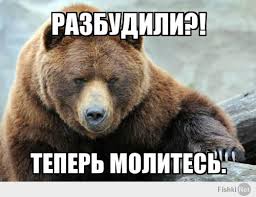 4514057_medved (256x197, 9Kb)